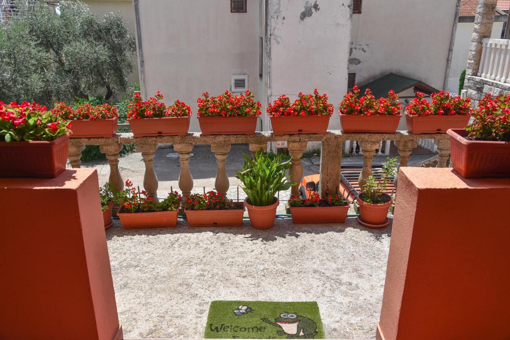 Vila Apartments Lidija Petrovac na moru Exterior foto